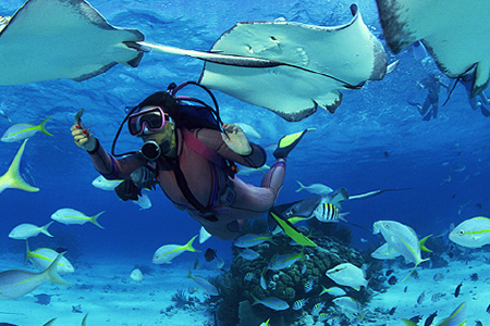 天津直飞 越南芽庄6日休闲游 含市区游 送泥浆