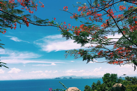 醉享越南岘港4晚5日半自助游 含落地签费|入住