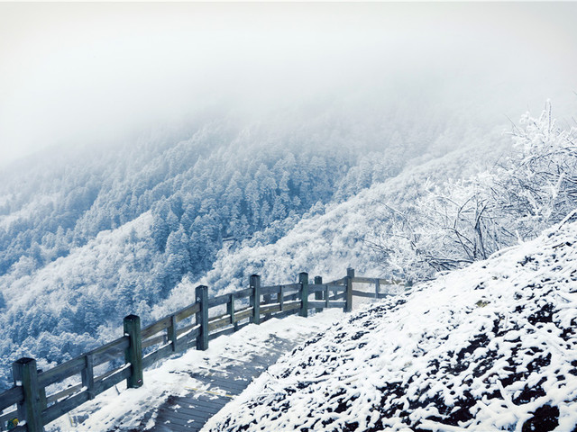 冬日—西岭雪山