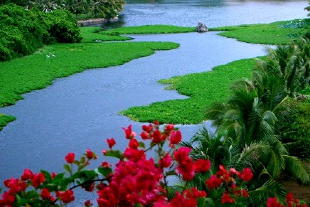 海南岛双飞4晚5日游 郑州起止,海口进出,全景至