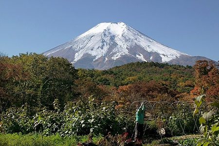 东京大阪富士山8日半自助游 东京大阪各一天自