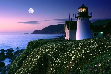 西安-台湾环岛直飞8日游 尊享五花 无自费 含小