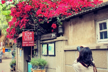 长沙直飞福建厦门鼓浪屿双飞4日游 中国最美的