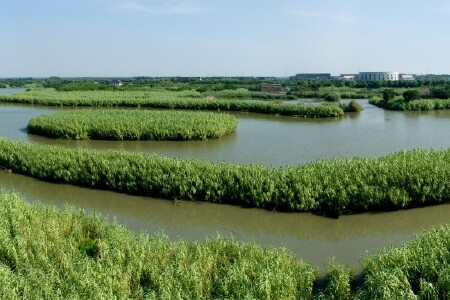 沙家浜芦苇荡自助1日游>之旅红色视频三攻略仙剑图片