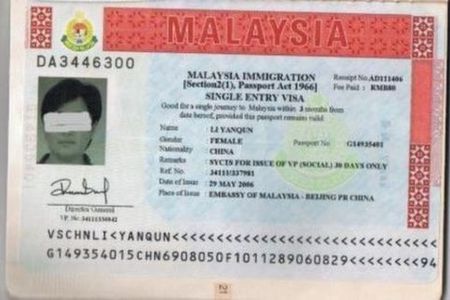马来西亚个人旅游签证游 至少3个工作日,快递