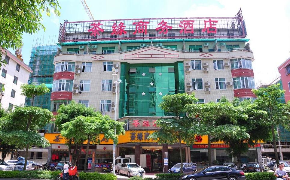 品味安溪铁观音：一场视觉与味觉的盛宴
